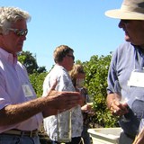 Jim in the Vineyard