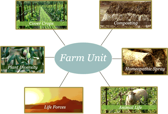 Biodynamic Ceago Photo