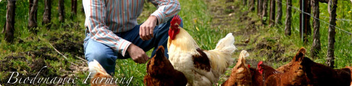 What is Biodynamic? 1097