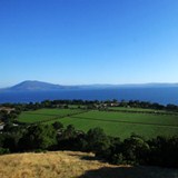Looking at Ceago