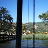 Ceago Vinegarden
