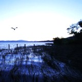 Clear Lake