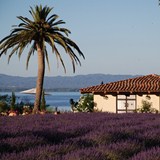 Ceago Vinegarden