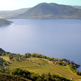 View of Ceago Vinegarden