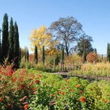 Ceago's Garden 