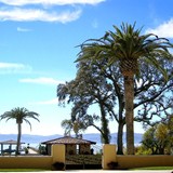 Ceago Vinegarden