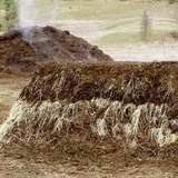 Compost at Ceago 